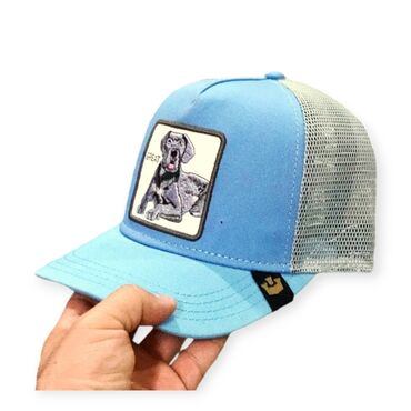 h m keper haljinatroakove slanja snosi kupac: Cap, color - Light blue