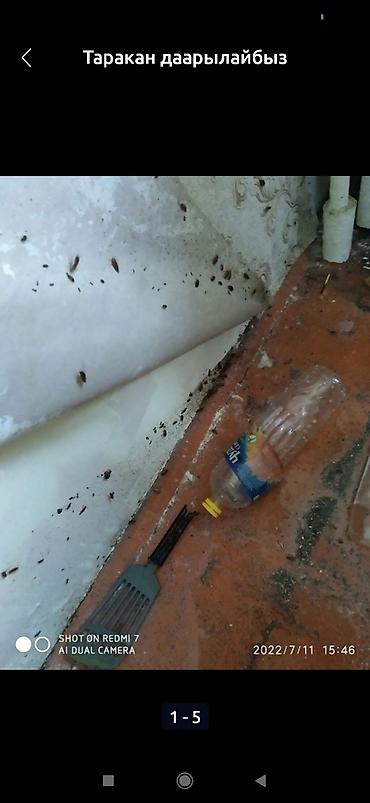 Дезинфекция, дезинсекция: Дезинфекция, дезинсекция, | Клопы, Блохи, Тараканы, | Транспорт, Офисы, Квартиры at lalafo.kg — 10 Дезинфекция, дезинсекция: Дезинфекция, дезинсекция, | Клопы, Блохи, Тараканы, | Транспорт, Офисы, Квартиры — 10