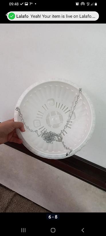 Другие комнатные растения: Сенсивьерия (Тещин язык) . Неприхотливый цветок. Растёт на солнце и в — 7