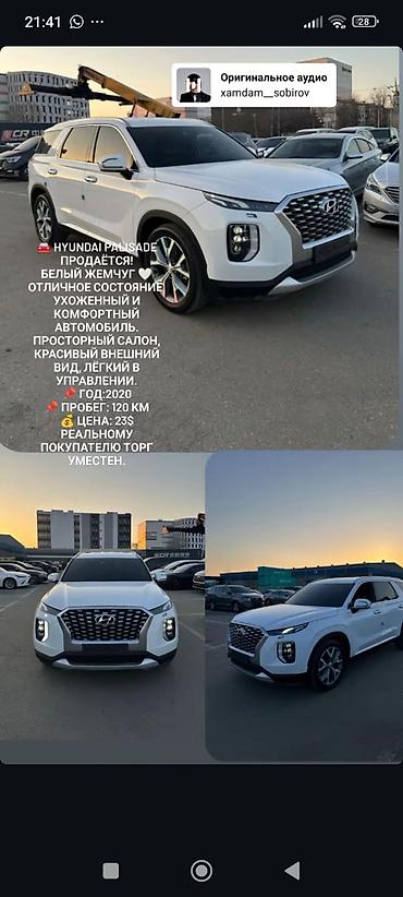 byd han: Hyundai Palisade: 2020 г., 3.5 л, Автомат, Дизель, Кроссовер — 1