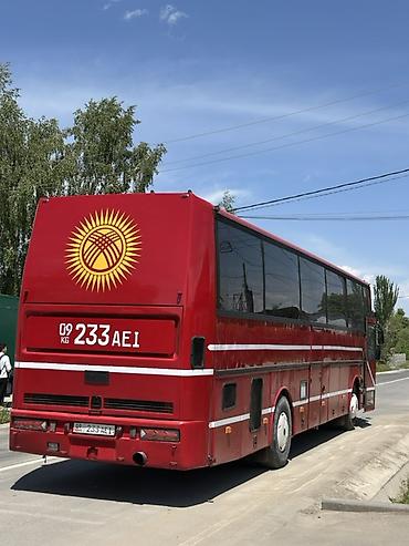лайнеры: Автобус, DAF, 40 и более мест — 5