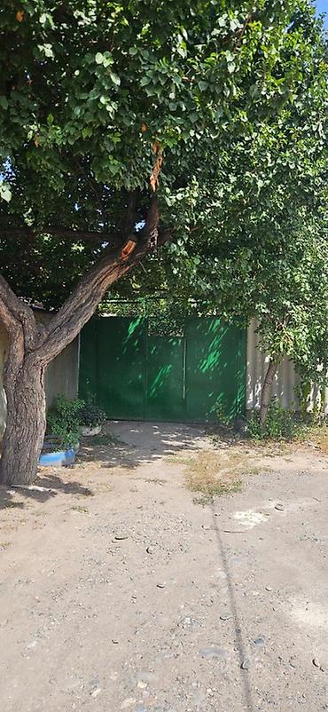 Продажа коттеджей и домов: 3 комнаты, 70 м², Манас, Собственник — 11