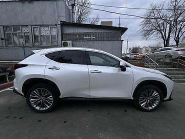 Lexus: Lexus NX: 2022 г., 2.5 л, Вариатор, Гибрид, Кроссовер — 2