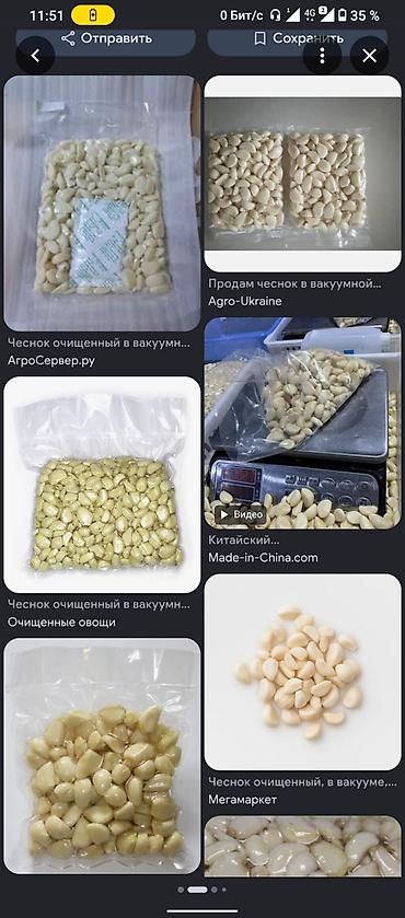чесно: Чеснок Оптом — 1