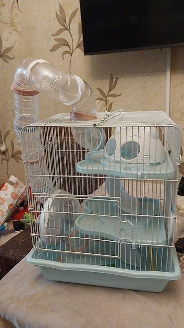 qəfəs böyük: Hamster üçün iki qəfəs dəsti - Böyük modul qəfəs: çoxmərtəbəli — 2