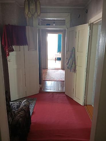 Деревянные штакетники: Деревянные штакетники, Покраска забора — 20