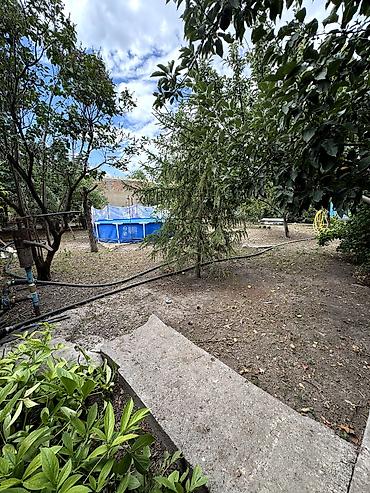 Продажа коттеджей и домов: 4 комнаты, 136 м², 40 соток, Петровка — 13