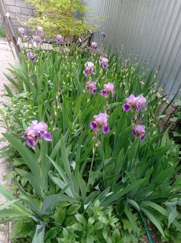 Продажа домов: Дом, 81 м², 4 комнаты, Собственник, Старый ремонт — 9