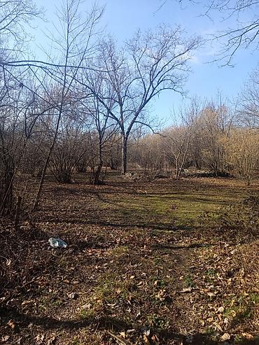 Torpaq sahələrinin satışı: Kənd təsərrüfatı — 3