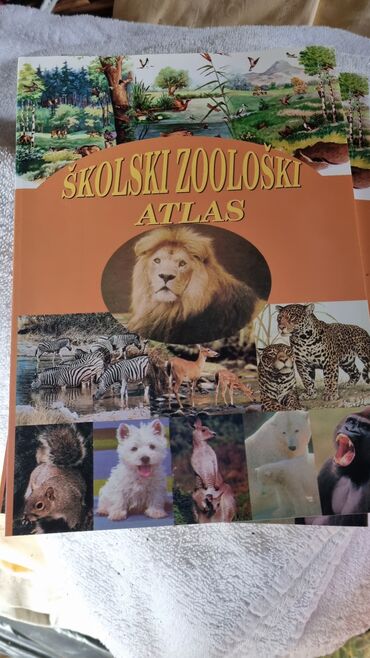 Praznična dekoracija: Bоја - Šareno, Novo — 5