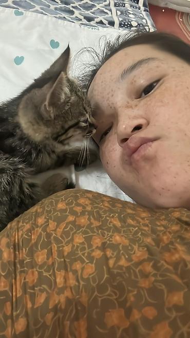 коты бишкек: Мышык бекер берилет: Породасыз, 2 айлык, Эркек — 2