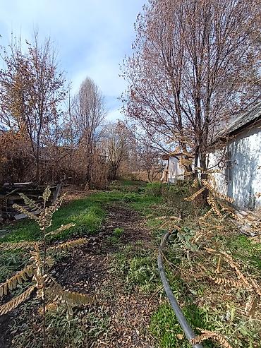 Продажа коттеджей и домов: 📌В селе Садовое недалеко от трассы продается дом на участке 51 сотка — 7