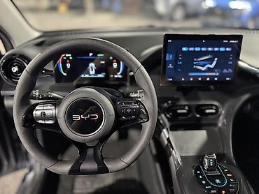 BYD: BYD E2: 2024 г., Автомат, Электромобиль, Хэтчбэк — 11