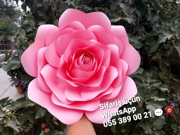 Digər ev dekoru: Sinif otağı, bağça,, məktəb, gözəllik salonu, mağaza vitrin, toy nişan — 25