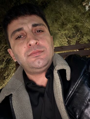 виза в сербию: Ayiq sürücü