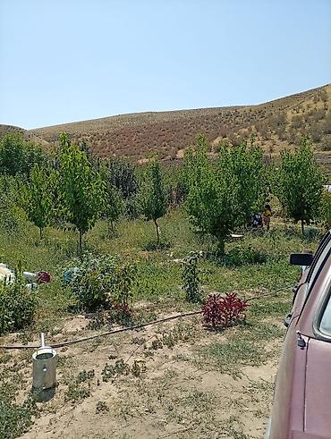 Продажа участков: Для строительства — 2