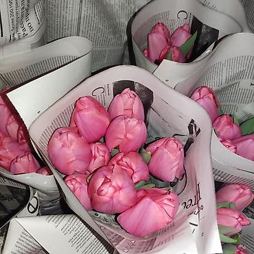 Букеты из живых цветов: Открыта бронь на тюльпаны оптом и розницу 2026 года к 8 марта — 3