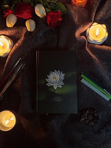 Bədii ədəbiyyat: Məhsul: Kitab – “Üzüm Buğusu: İhanet” Müəllif: Dilan Durmaz Janr — 8