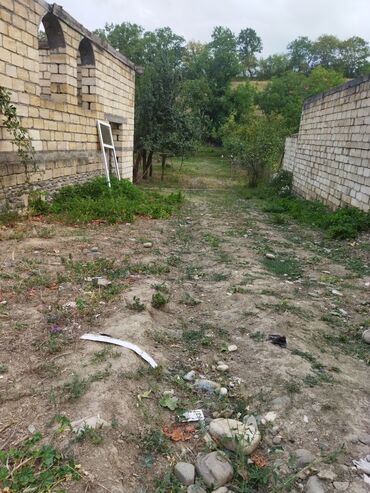 Torpaq sahələrinin satışı: 24 sot, Kənd təsərrüfatı, Kupça (Çıxarış) — 11