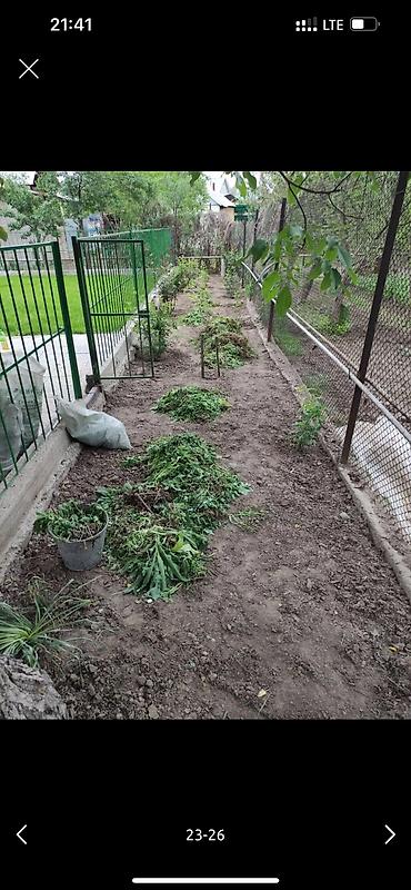 Дворники, садовники: 🌱Я садовник приходящий раз в неделю уборку сада генеральный уборка at lalafo.kg — 20 Дворники, садовники: 🌱Я садовник приходящий раз в неделю уборку сада генеральный уборка — 20