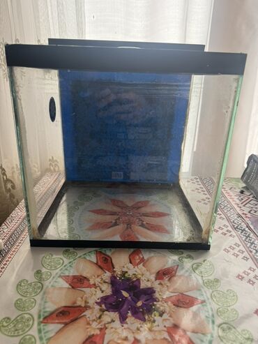 Akvariumlar: Akvaryum dəsti 1 akvaryum tezedi qalan herwey iwlenmiwdi ekseryeti az — 7