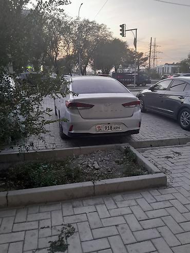 субару легаси 2014: Hyundai Sonata: 2019 г., 2 л, Автомат, Бензин, Седан — 3