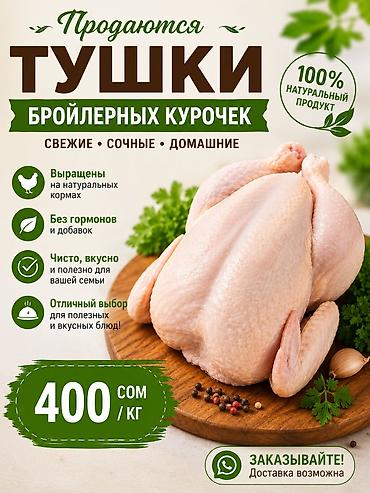 тоджон куры: Тушки бройлерных курочек — 100% натуральный продукт. Свежие, сочные — 1