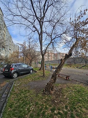 Продажа квартир: 3 комнаты, 71 м², Индивидуалка, 9 этаж, Косметический ремонт at lalafo.kg — 14 Продажа квартир: 3 комнаты, 71 м², Индивидуалка, 9 этаж, Косметический ремонт — 14