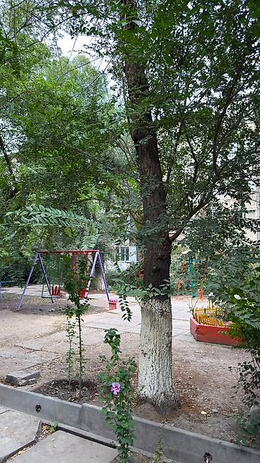 2 комнаты, 44 м², Центральная мечеть 104 серия, 4 этаж