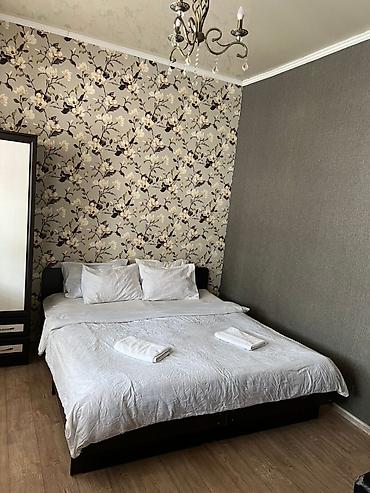 Аренда отелей и хостелов: КВАРТИРА НА СУТКИ ДЕНЬ НОЧЬ ЦЕНТР ЧИСТО УЮТНО ТЕПЛО ДЕШЕВО Рады — 3