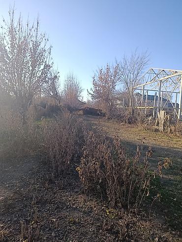 Продажа коттеджей и домов: Продаётся дом с двором и хозяйственными постройками. - Тип — 10