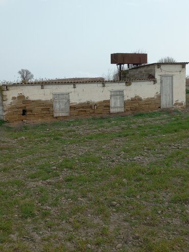 Torpaq sahələrinin satışı: Kənd təsərrüfatı — 9