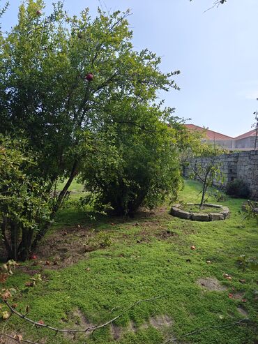 Torpaq sahələrinin satışı: 10 sot, Tikinti, Mülkiyyətçi, Kupça (Çıxarış) -da lalafo.az — 9 Torpaq sahələrinin satışı: 10 sot, Tikinti, Mülkiyyətçi, Kupça (Çıxarış) — 9