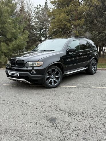BMW: BMW X5: 2004 г., 4.8 л, Автомат, Бензин, Кроссовер — 1
