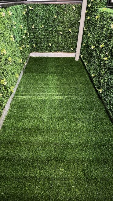 Digər ev dekoru: 6 man baslayan qiymetler — 13