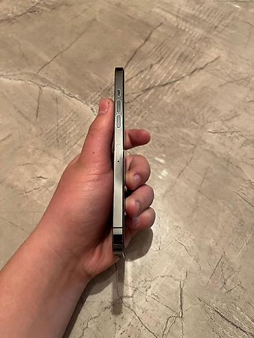 Apple iPhone: IPhone 12 Pro Max, Б/у, 256 ГБ, Серебристый, Защитное стекло, Чехол, 100 % — 3