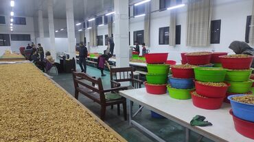 Сухофрукты, орехи, снеки: Продаю Грецкие орехи оптом республика Кыргызстан очень качественный