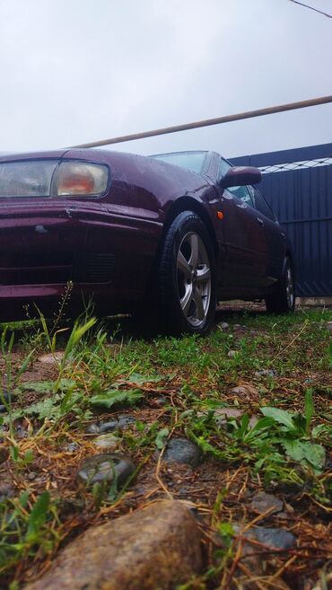 казирок на спринтер: Nissan Maxima: 1997 г., 3 л, Автомат, Бензин, Седан