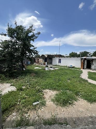 тынчтык ж м: 15 соток, Бизнес үчүн, Техпаспорт, Сатып алуу-сатуу келишими — 1