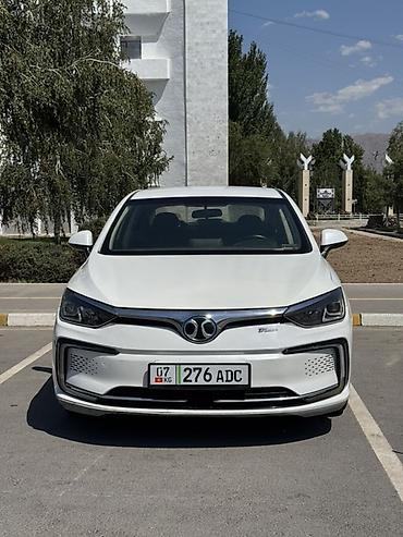 byd e9 1: BAW : 2019 г., Электромобиль, Седан — 1