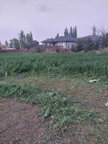 Продажа участков: 20 соток, Для бизнеса, Красная книга — 2