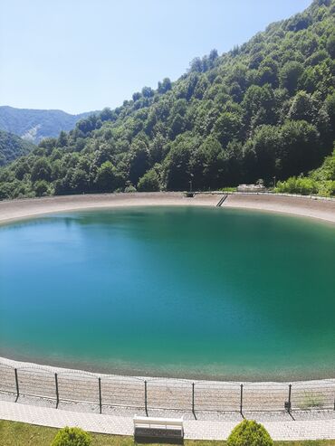 Sərnişin daşımaları: Minivan, Lənkəran, 7 Oturacaq — 5