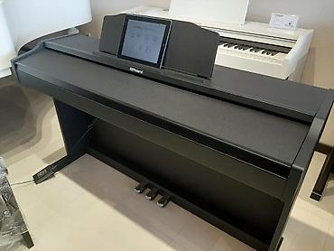 Musiqi alətləri: Roland elektro piano — 2