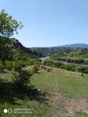 Bal: Qax Dağ Sarıbaş balı Qax Dağ Sarıbaş balı! Təbii, qatqısız, ekoloji -da lalafo.az — 6 Bal: Qax Dağ Sarıbaş balı Qax Dağ Sarıbaş balı! Təbii, qatqısız, ekoloji — 6