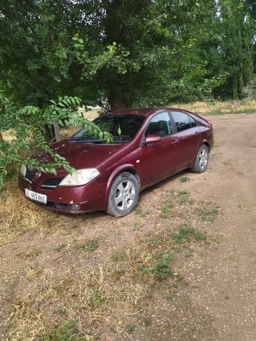 7 орундуу машина: Nissan Primera: 2003 г., 1.8 л, Автомат, Бензин, Хетчбек