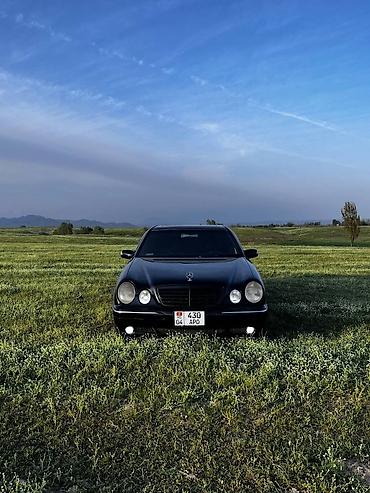 bew e39: Mercedes-Benz E-Class: 1999 г., 5 л, Автомат, Бензин, Седан — 3