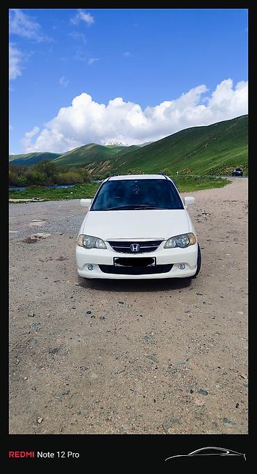 honda odyssey тюнинг: Honda Odyssey: 2002 г., 2.3 л, Автомат, Бензин, Минивэн — 5