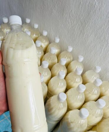 Молочные продукты и яйца: Чанкоону кандырган Алайку кымыз ышталган таза Горилла ичип маймыл