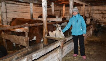 соко тракторго: Талап кылынат Саанчы, Төлөм Күн сайын