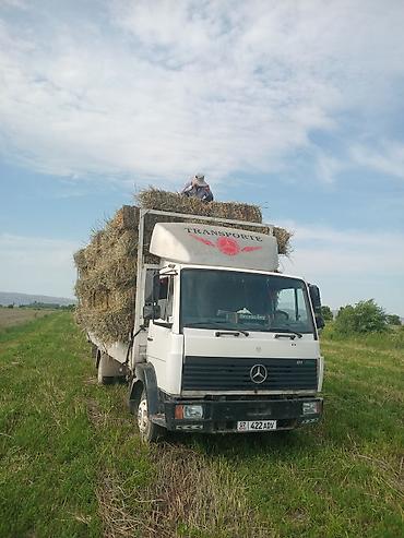 акорд 1 8: Грузоперевозки на бортовом грузовике Mercedes-Benz - Тип — 2